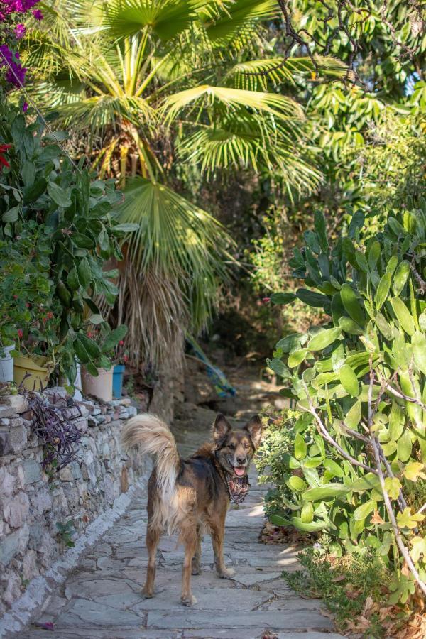 Hotel Casa Ikal Guanajuato Zewnętrze zdjęcie